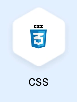 CSS