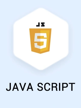 JavaScript